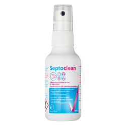 SEPTO CLEAN désinfection vapo