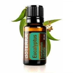 doTERRA Eucalyptus Oil 15 ml